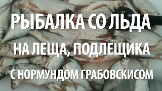 РЫБАЛКА на ЛЕЩА и ПОДЛЕЩИКА ЗИМОЙ. ПОДЛЕДНАЯ РЫБАЛКА с НОРМУНДОМ ГРАБОВСКИСОМ