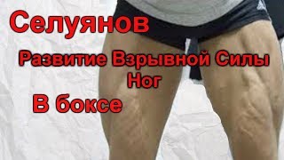 Селуянов. Развитие Взрывной Силы Ног  в Боксе.