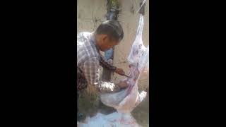 Қой сою/Убой овца/Slaughter sheep