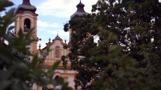 Orgel des Monats - 11.6.2014