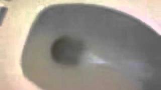 アメリカンスタンダード製洋式便器 American standard western toilet