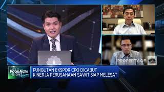 Pungutan Ekspor Dicabut, Pengusaha Masih Terhambat Kirim CPO, Apa Sebabnya?