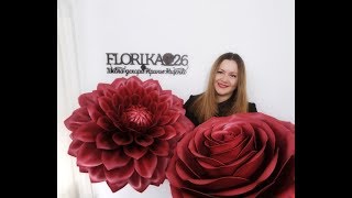 Живое обучение ростовым цветам из изолона и фоамирана. Мк в Ставрополе с 3 по 8 февраля