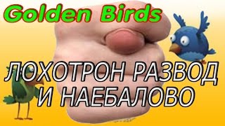 Вся правда о фейково лохотронском проекте Golden Birds goldenbirds.tv Голден Бердс