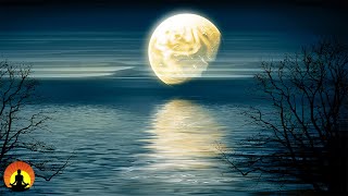 ? Deep Sleep Music 24/7, Calm Music, Insomnia, Relax, Sleep Therapy, Meditation, Spa, Study, Sleep