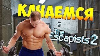 КАЧАЕМСЯ #5 ► Прохождение The Escapists 2