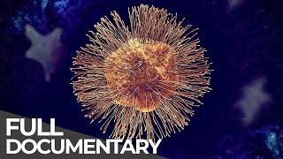 Giant Viruses: The Challenge of Discovering Viruses