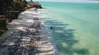 Zanzibar Beaches by drone
