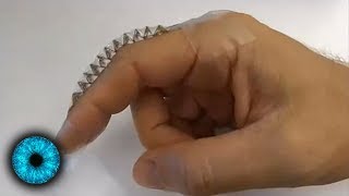 Künstliche Muskeln hergestellt: Durchbruch für die Robotik?- Clixoom Science & Fiction