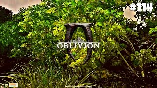 The Elder Scrolls IV: Oblivion GBRs Edition - Прохождение #114: Охотники на вампиров