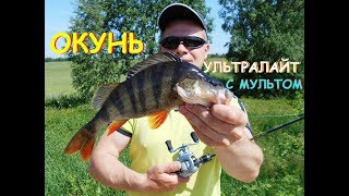 мелкая шпуля от Писцифан и окунь на вертушку