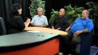 TNEWS EP2 2011 P2