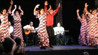 Festival de la escuela de la Tani 04-07-2010