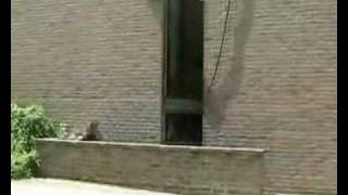 Speeders Parkour