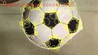 Object Recognition with OpenCV