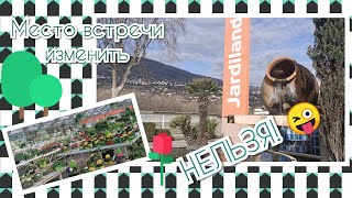 #ОРХИДЕИ обзор?:Мой любимый Jardiland?? Продолжаем обход??