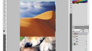 TQC Photoshop CS4-402狗狗