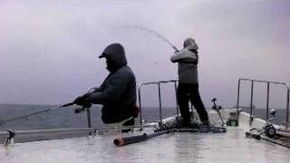2012:東京湾口のサワラキャスティング:part-1 (2012.02.14)