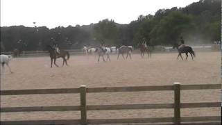 Watchung Stable Drill Team