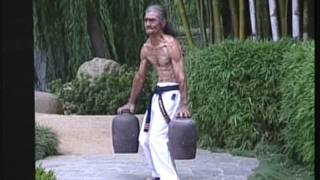Overview of Uechi-ryu calistenics
