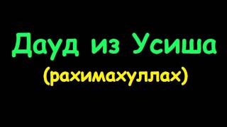 Дауд из Усиша