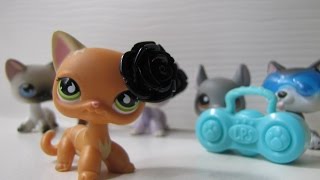 Littlest Pet Shop: Shake It Off Music Video [FOR 5K ♡]