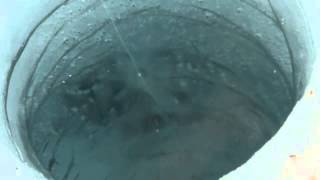 【ワカサギ秘伝】最強の電動穴釣りジャイロピン釣法