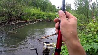 Ловля Хариуса на удочку  - Август 2018 ( по новой тропе вверх по реке)