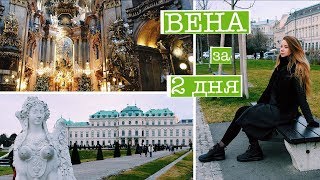 ВЕНА ЗА 2 ДНЯ: достопримечательности, еда, Рождество | ВЛОГ 2017-2018