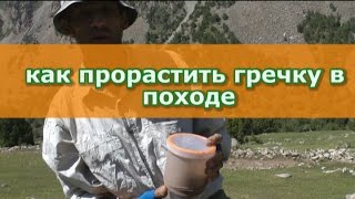 Как прорастить зеленую гречку.Делаем проращиватель за 5 минут.