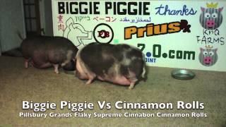 Biggie Piggie Vs Pillsbury Grands Flaky Supreme Cinnamon Rolls v2.0.com