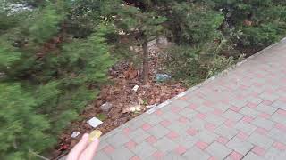 #ТУАПСЕ - ШОК - СЛАБОНЕРВНЫМ НЕ СМОТРЕТЬ!!! ВЫ ТАКОГО НЕ ВИДЕЛИ - ПЛОЩАДЬ ПЕРЕД ЖД ВОКЗАЛОМ...