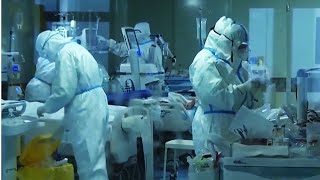 В Израиле сражаются с омикроном по-еврейски