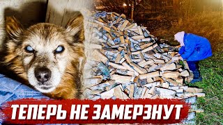 Слепая собачка и бабушка теперь в тепле! | Орловская обл, Урицкий р/н с.Ледно