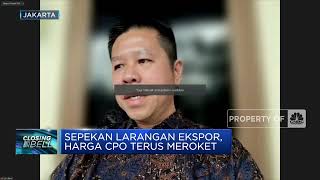Harga CPO Meroket, Pengusaha Harap Larangan Ekspor RI Dicabut