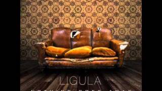 Lígula - Nothing goes away