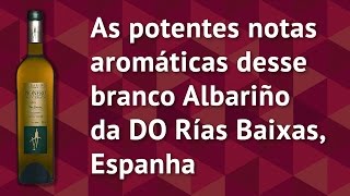Vinho Branco Pionero Maccerato Albariño 2015 • Espanha