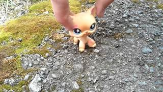 Lps: коты воители
