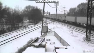 UP #8691 Leads An Intermodal Train By Rochelle Cam