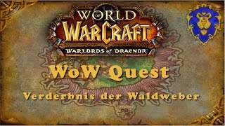 WoW Quest: Verderbnis der Waldweber