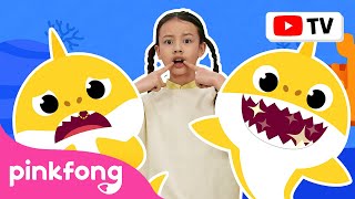 Dientes del Tiburón Bebé???? | Pinkfong Canta & Baila | Canciones ​Infantiles | Pinkfong en español