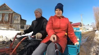 Заведу свиней, баранов, корову, лошадь и буду жить БЕЗ ЦИВИЛИЗАЦИИ И БЕЗ ДЕНЕГ В ДЕРЕВНЕ..