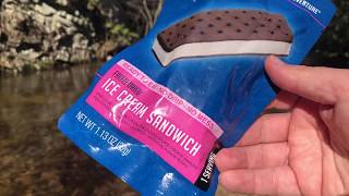 Freeze Dried Ice Cream Sandwich???