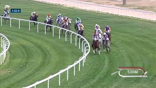 RACE 2