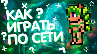 КАК ПОИГРАТЬ С ДРУГОМ В Terraria НА ПИРАТКЕ 2019 РАБОТАЕТ