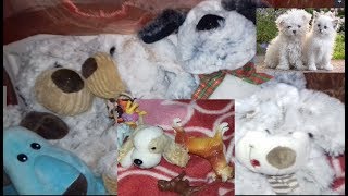 Все собаки  АмиТоши!!! год собаки  ..коллекция/ Барбоскины/ Щенячий патруль/ породы собак