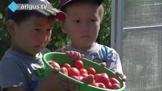 Видео презентация социальный контракт