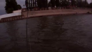 Ловля жереха на виб NORTH CRAFT BT-Vib 78.Asp Fishing