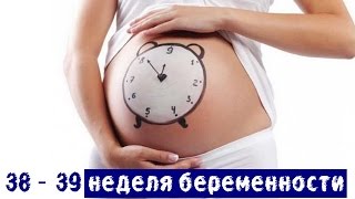 38-39 недели беременности: скоро роды, УЗИ, роддом