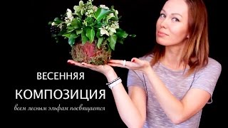 Цветущий пенек. Композиция в оазисе.